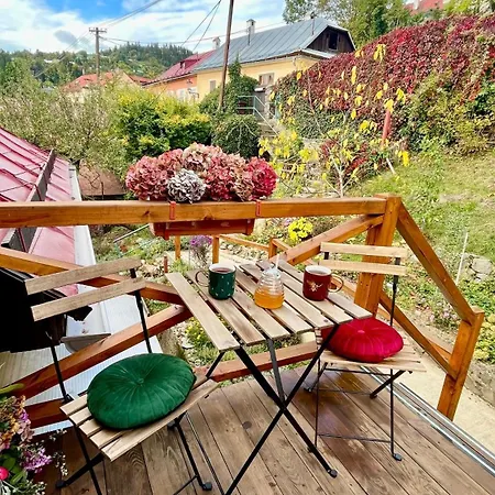 Apartman Franko *