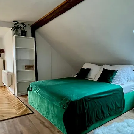 Apartment Franko *