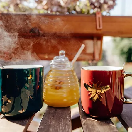 Franko Apartamento *